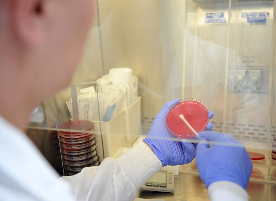 Diagnostic Laboratory